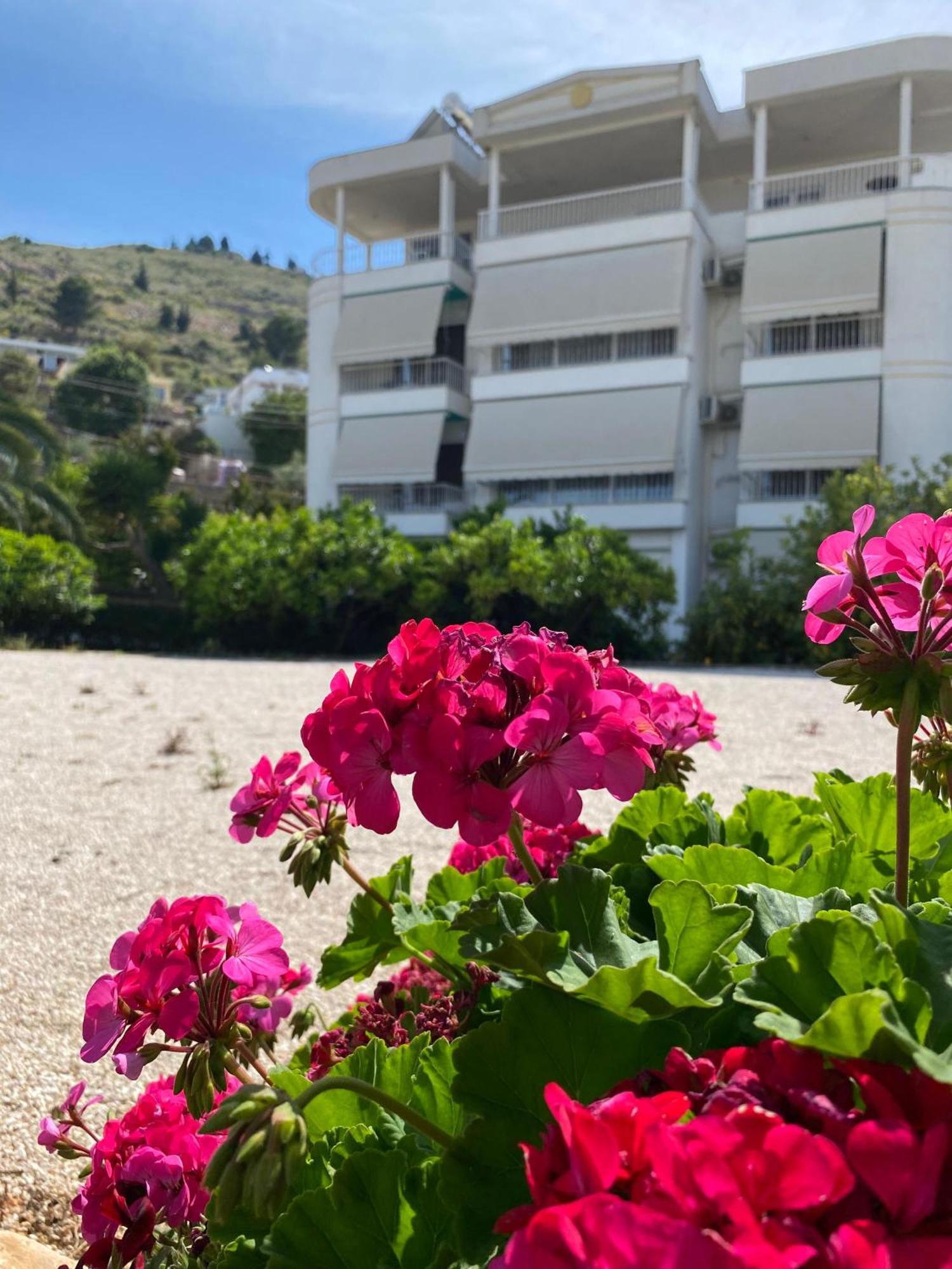 Vila Marjana Sarandë Esterno foto